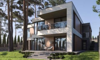 New modern house in a pine forest